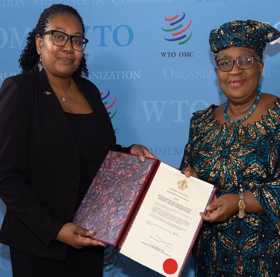 World Trade Organization Africa Fishermen Foundation