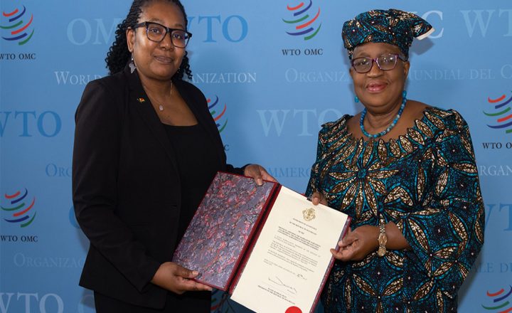 World Trade Organization Africa Fishermen Foundation